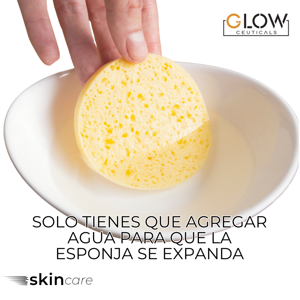 🧽 Esponjas Faciales Comprimidas de Celulosa – 72 Unidades 🧽