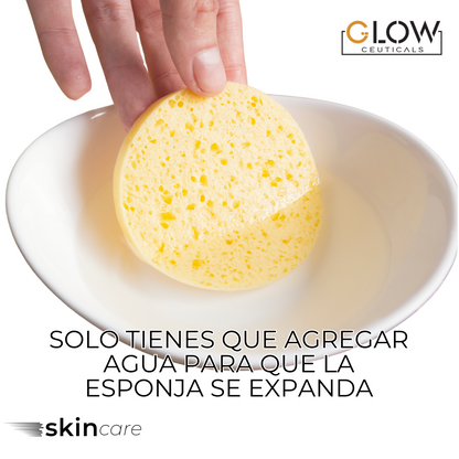 🧽 Esponjas Faciales Comprimidas de Celulosa – 72 Unidades 🧽