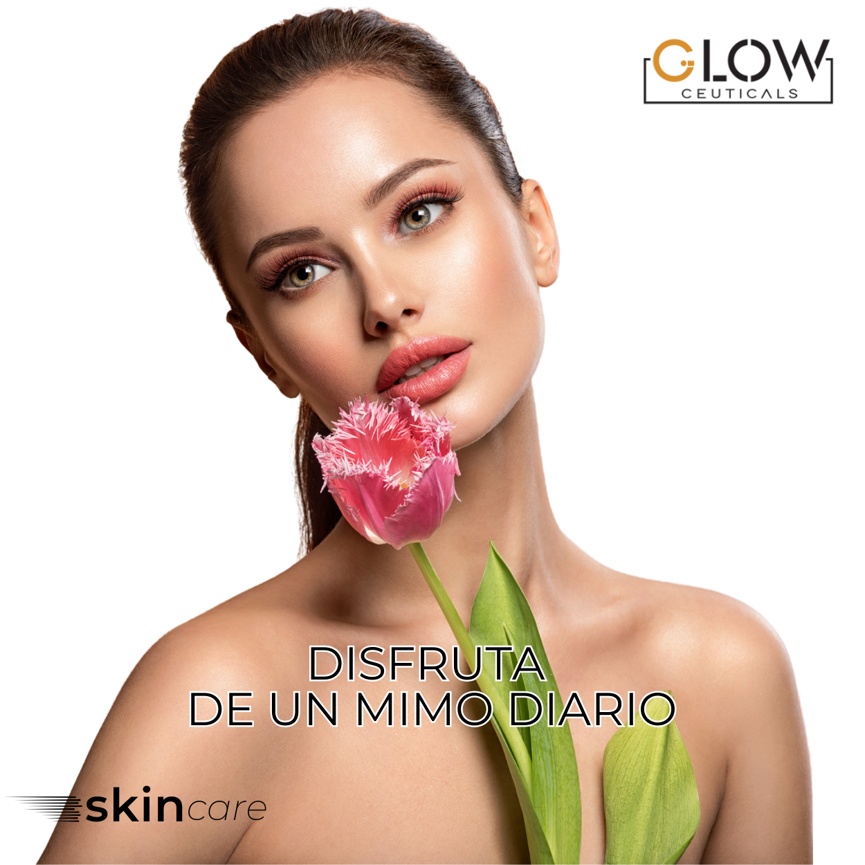 🧽 Esponjas Faciales Comprimidas de Celulosa – 24 Unidades 🧽