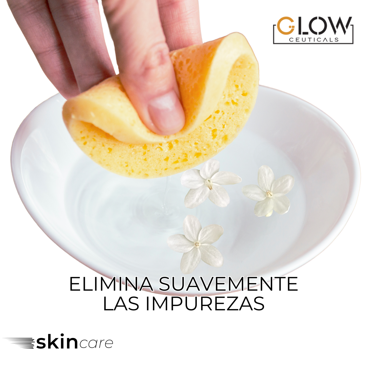 💖 Esponjas Faciales Comprimidas de Celulosa – Forma de Corazón- 24 Unidades 💖