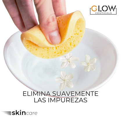 💖 Esponjas Faciales Comprimidas de Celulosa – Forma de Corazón- 24 Unidades 💖
