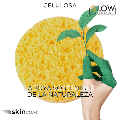 🧽 Esponjas Faciales Comprimidas de Celulosa – 24 Unidades 🧽